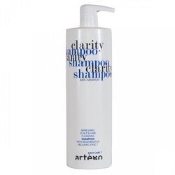 Szampon Przeciwłupieżowy EASY CARE Clarity Shampoo ARTEGO 1000ml