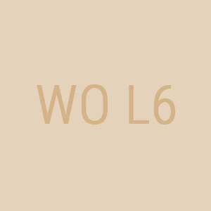  Warm Olive WO L6